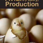 Avian (Poultry) Production, 2nd Revised And Enlarged Edition Avian (Poultry) Production, 2nd Revised And Enlarged Edition