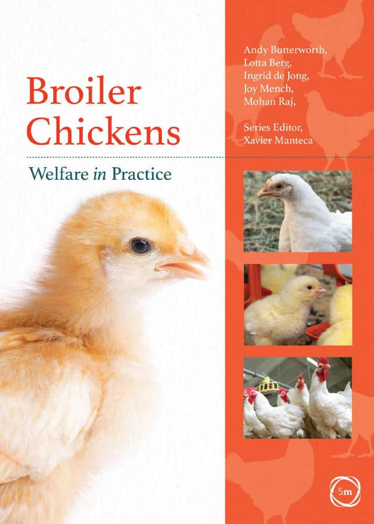 Broiler Chickens Welfare In Practice