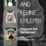 Canine and Feline Epilepsy: Diagnosis and Management Canine and Feline Epilepsy: Diagnosis and Management