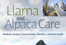 Llama and Alpaca Care: Medicine, Surgery, Reproduction, Nutrition, and Herd Health Llama and Alpaca Care: Medicine, Surgery, Reproduction, Nutrition, and Herd Health