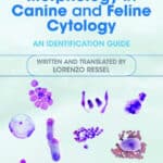Normal Cell Morphology in Canine and Feline Cytology: An Identification Guide Normal Cell Morphology in Canine and Feline Cytology: An Identification Guide