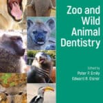 Zoo and Wild Animal Dentistry
