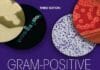 Gram-Positive Pathogens, 3rd Edition PDF