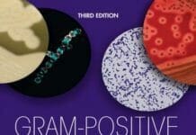 Gram-Positive Pathogens, 3rd Edition PDF