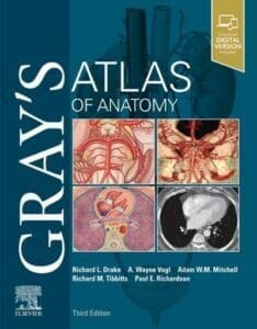 Grayโs Atlas of Anatomy, 3rd Edition Grayโs Atlas of Anatomy, 3rd Edition pdf