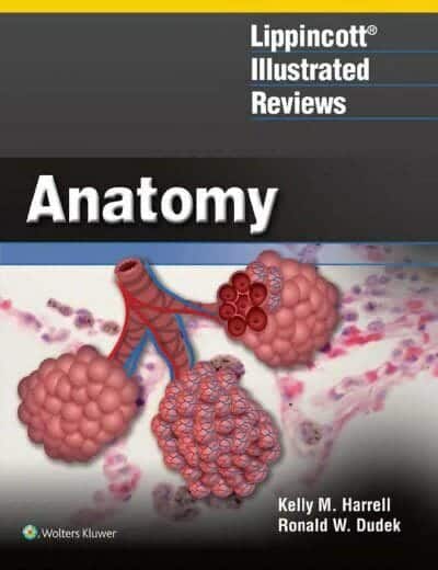 Lippincott Illustrated Reviews, Anatomy