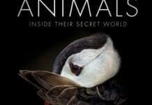 The Science of Animals, Inside their Secret World PDF