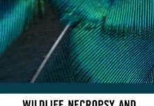 Wildlife Necropsy and Forensics By P.K. Sriraman
