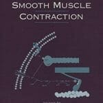 biochemistry-of-smooth-muscle-contraction