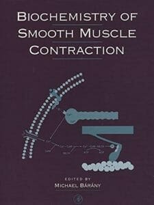biochemistry-of-smooth-muscle-contraction