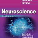 Lippincott Illustrated Reviews, Neuroscience, 2nd Edition Lippincott Illustrated Reviews, Neuroscience, 2nd Edition