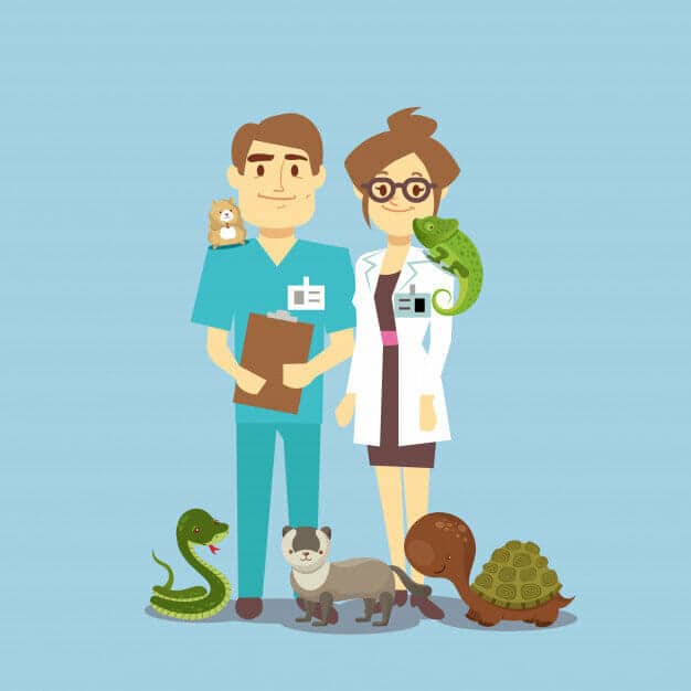 Veterinary Practice Management