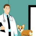 veterinary-practice-managements