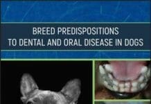 Breed Predispositions to Dental and Oral Disease in Dogs PDF
