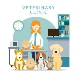 Veterinary Marketing Ideas