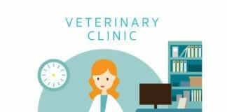 Veterinary Marketing Ideas