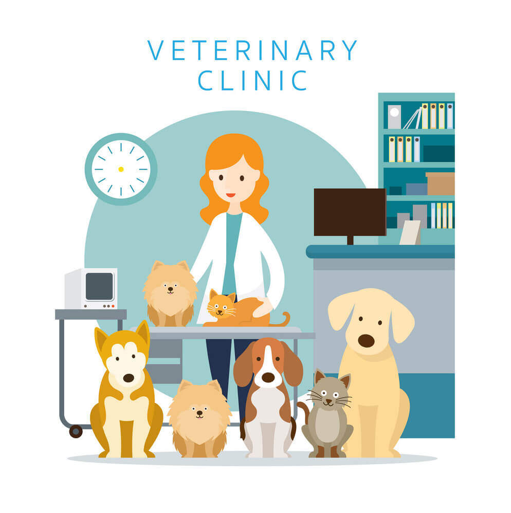 9 Marketing Strategies For Veterinary Practice