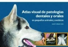 Atlas visual de patologías dentales y orales en pequeños animales
