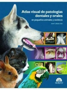 Atlas visual de patologías dentales y orales en pequeños animales