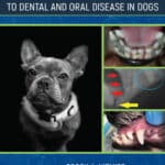 Breed Predispositions to Dental and Oral Disease in Dogs Breed Predispositions to Dental and Oral Disease in Dogs