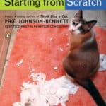 Starting from Scratch: How to Correct Behavior Problems in Your Adult Cat