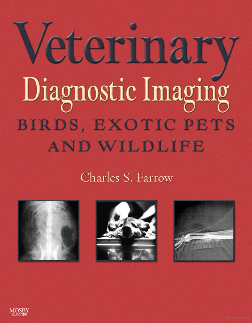 Veterinary Diagnostic Imaging: Birds, Exotic Pets And Wildlife Pdf Download