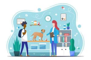 All About Veterinary Nursing