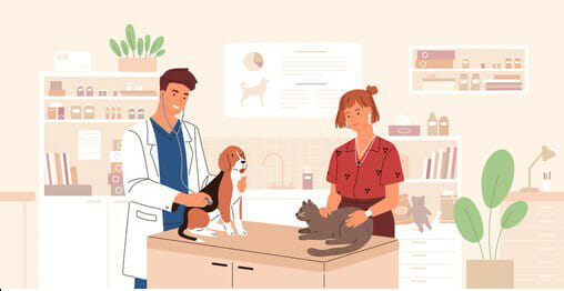 All About Veterinary Nursing