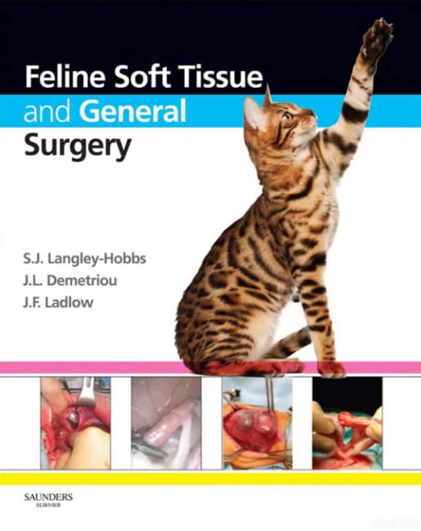 Feline Soft Tissue And General Surgery Pdf Download