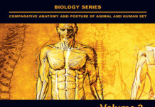 The Skull of Quadruped and Bipedal Vertebrates: Variations, Abnormalities and Joint Pathologies