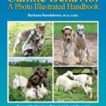 Canine Behavior a Photo Illustrated Handbook PDF