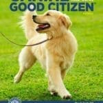 Canine Good Citizen: 10 Essential Skills Every Well-Mannered Dog Should Know 2nd Edition pdf