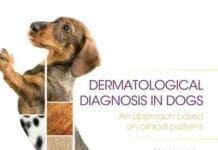 Dermatological Diagnosis In Dogs. An Approach Based on Clinical Patterns