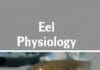 Eel Physiology Book PDF