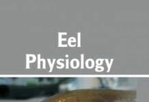 Eel Physiology eBook