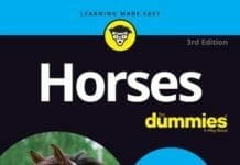horses for dummies pdf