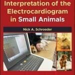 Interpretation of the Electrocardiogram in Small Animals