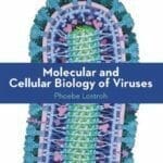 molecular and cellular biology of viruses pdf