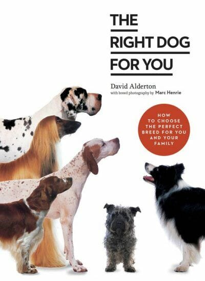 The Right Dog for You: How to Choose the Perfect Breed for You and Your Family
