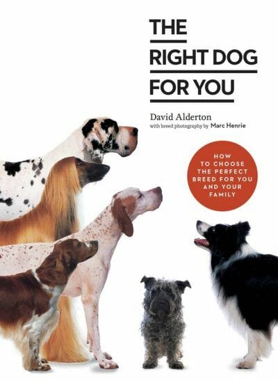 The Right Dog for You: How to Choose the Perfect Breed for You and Your Family PDF