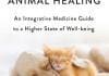 The Spirit of Animal Healing PDF