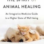 The Spirit of Animal Healing PDF