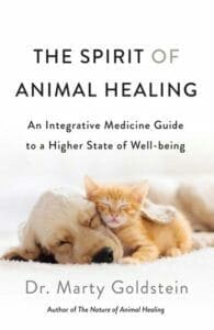 The Spirit of Animal Healing PDF