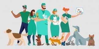 Best Veterinary Careers That You Can Choose