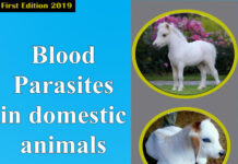 Blood Parasites in Domestic Animals