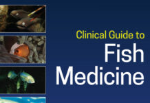 Clinical Guide to Fish Medicine