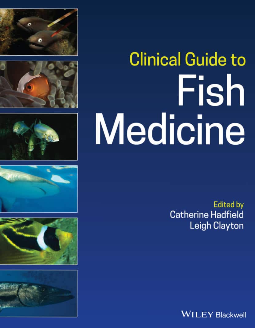 Clinical Guide To Fish Medicine Pdf Download