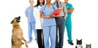 How To Start A Veterinary Practice