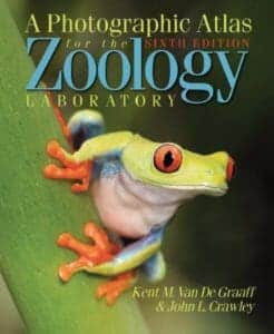a-photographic-atlas-for-the-zoology-laboratory