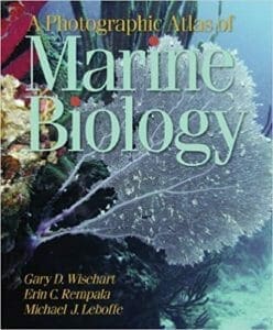 a-photographic-atlas-of-marine-biology